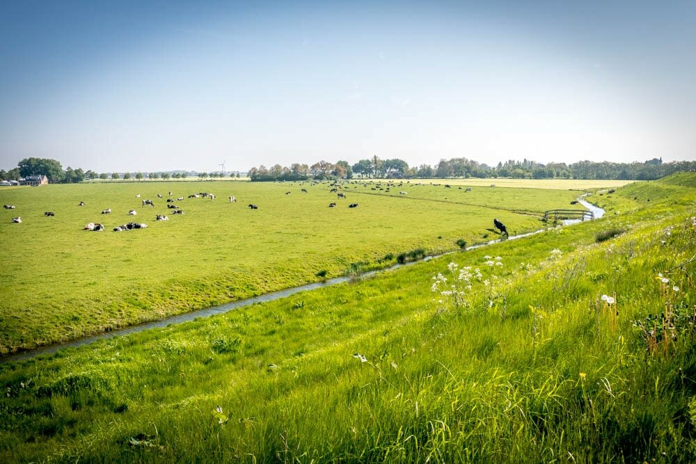 Zuiderdijk, op de achtergrond de dames van boer Doodeman