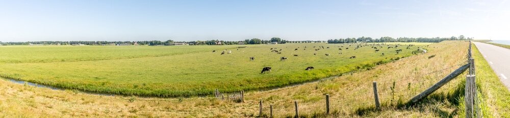 Zuiderdijk, op de achtergrond de dames van boer Doodeman