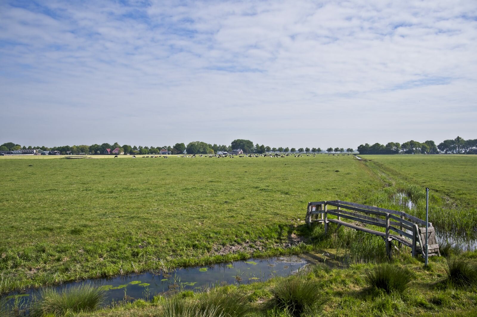 20200519 ZuiderdijkWandel 14