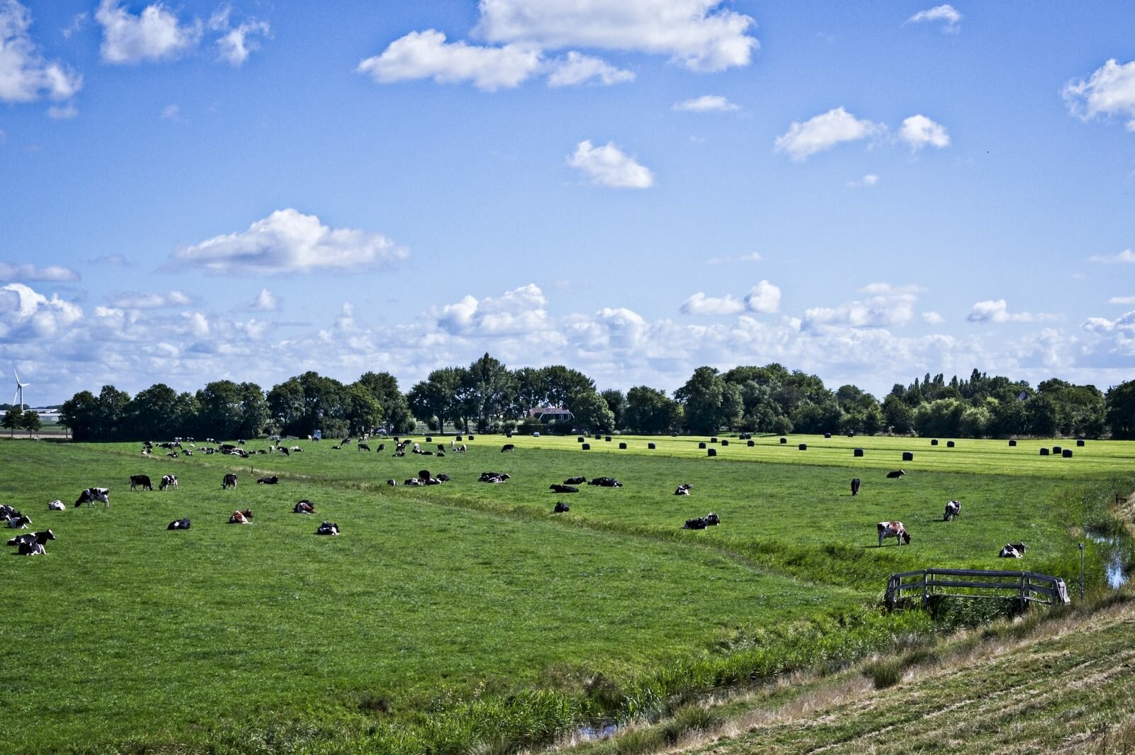 Zuiderijk