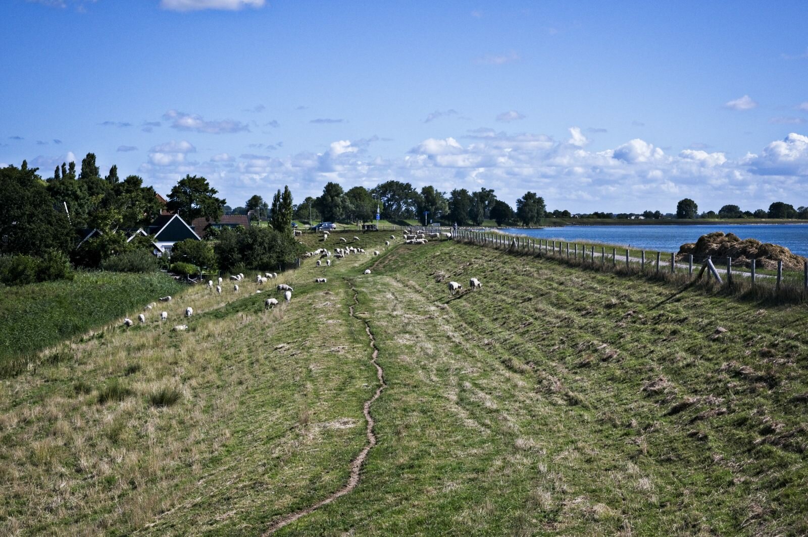 Zuiderdijk