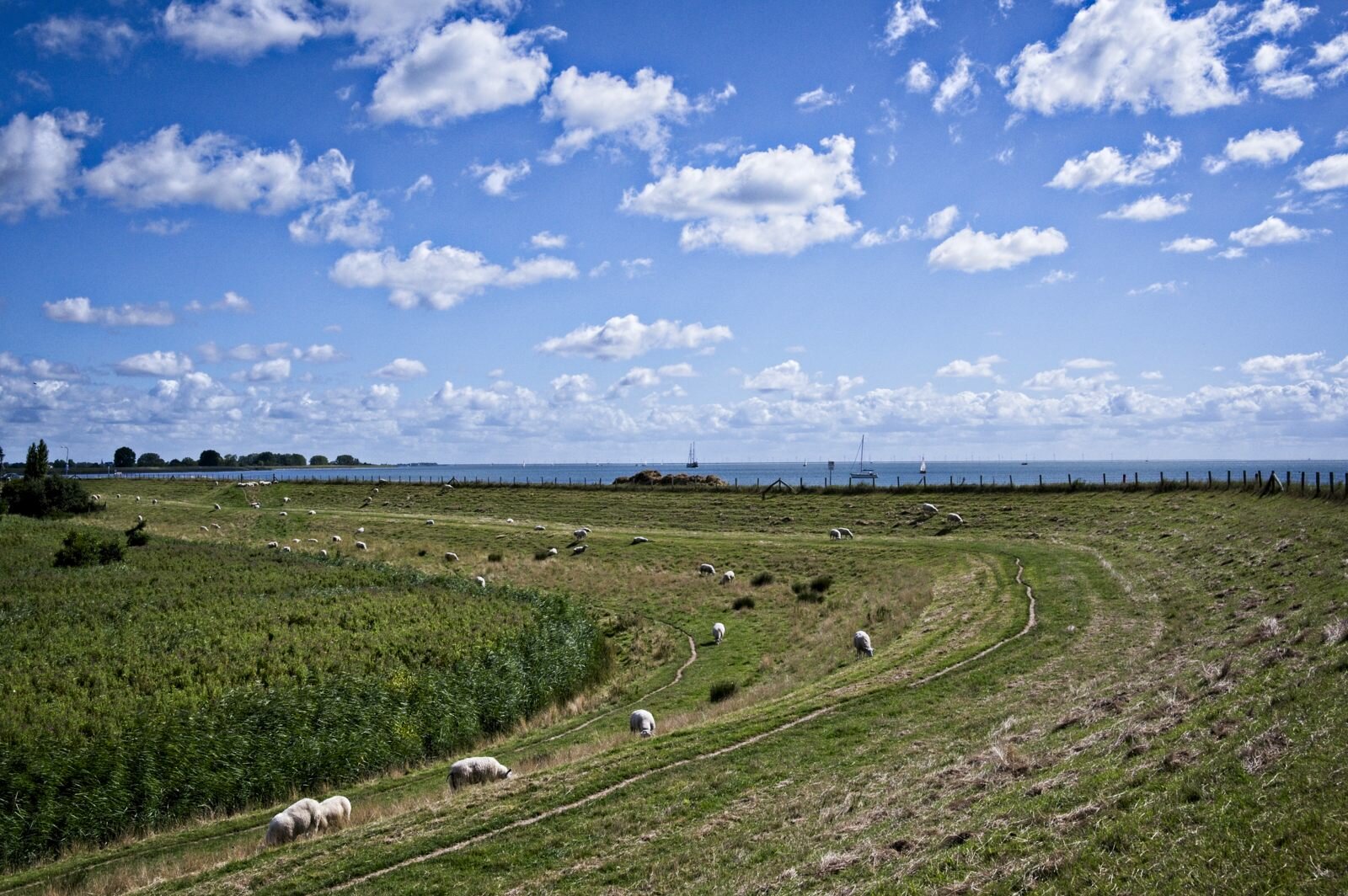 Zuiderdijk