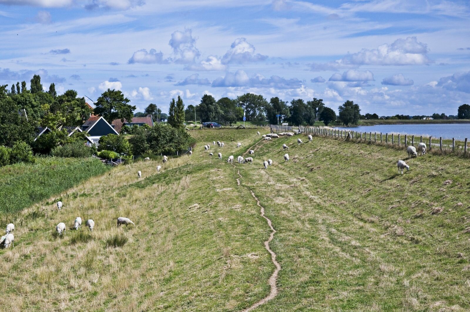 Zuiderdijk (Oosterleek)