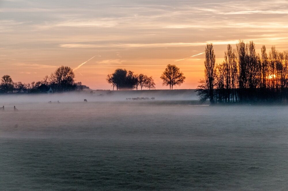 Vanuit mijn achtertuin
