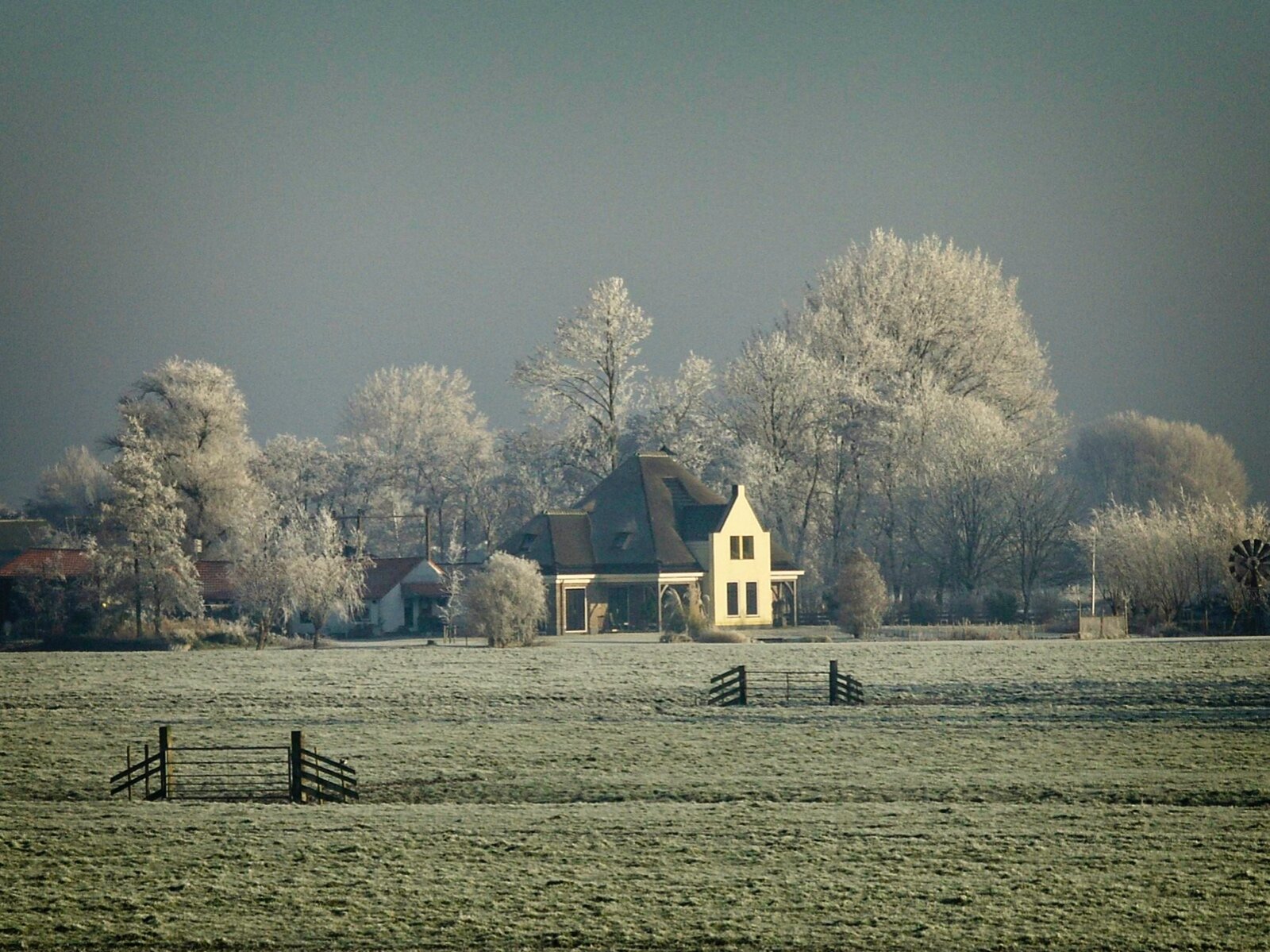 Vanuit achtertuin