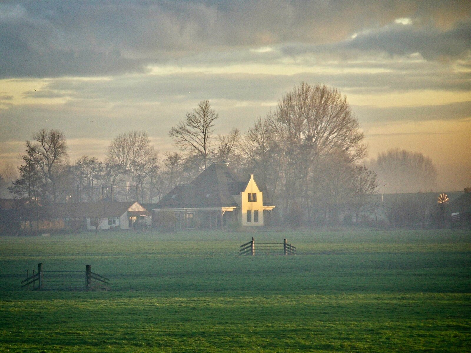 Vanuit achtertuin